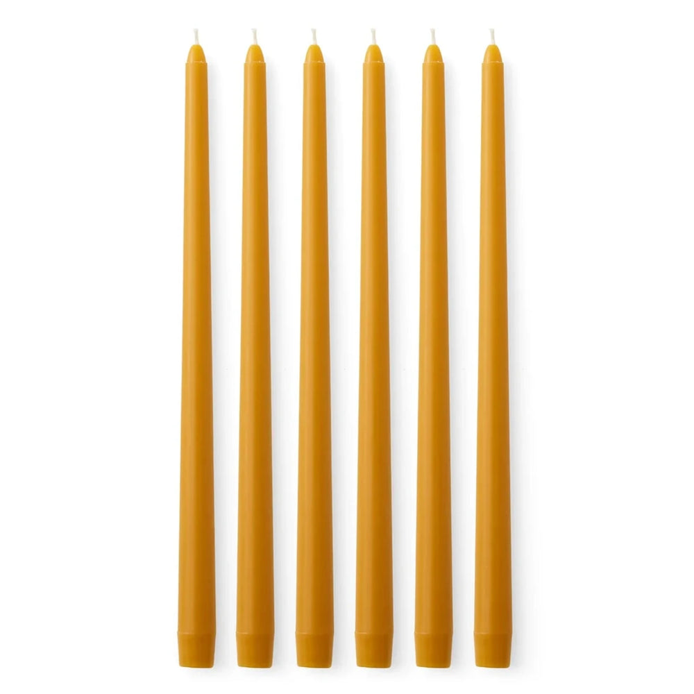 Spire Smooth Tapered Candles | Set of 6 | Ochre